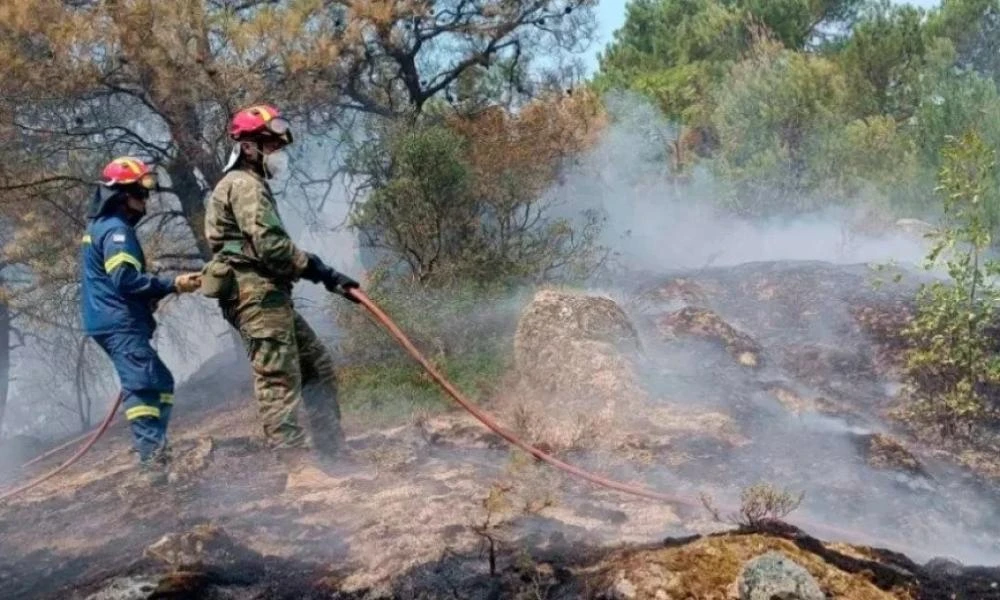 Δύο είναι τα εναπομείναντα μέτωπα στη φωτιά στον Έβρο